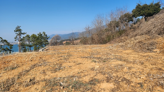 본건 기호 2) 위 지상