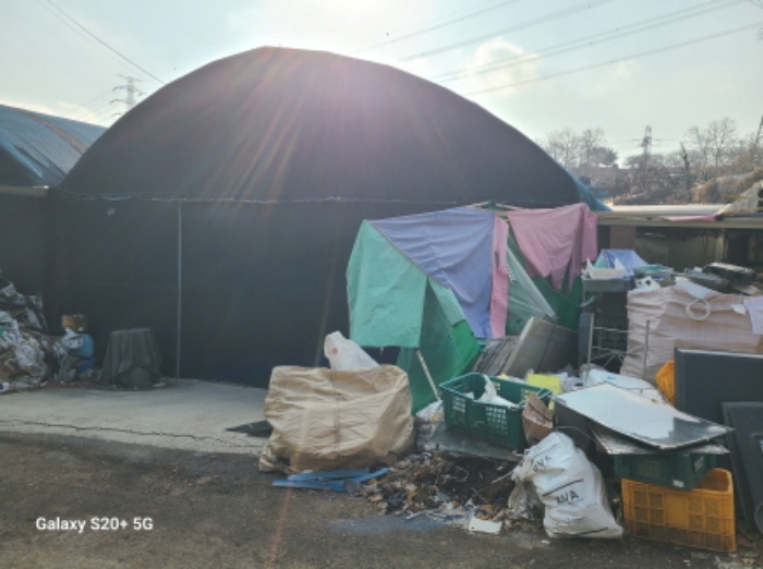 비닐하우스 모습(4)