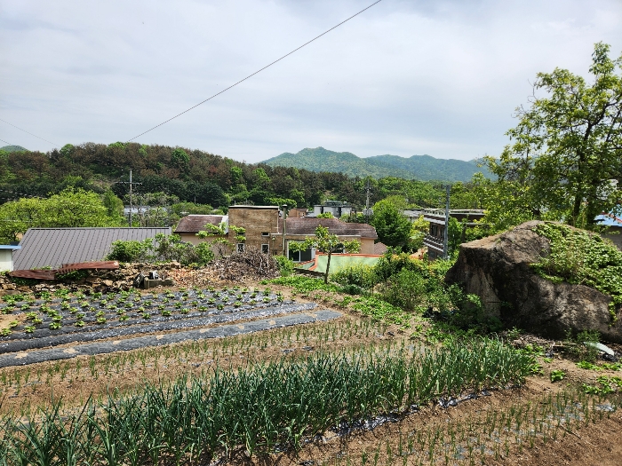 본건 전경(본건 북서측에서 촬영)