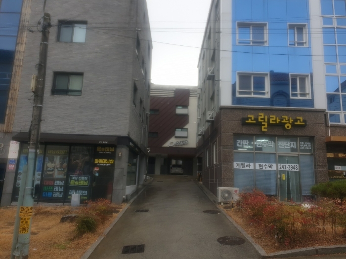 진입도로에서 본 본건 전경