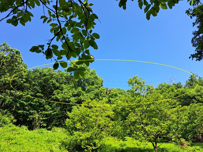 고압송전선로 및 철탑