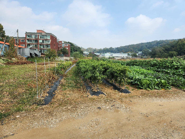 본 건 전경