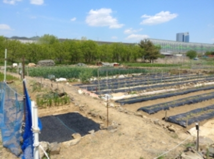 이하 각산동 174-1 답