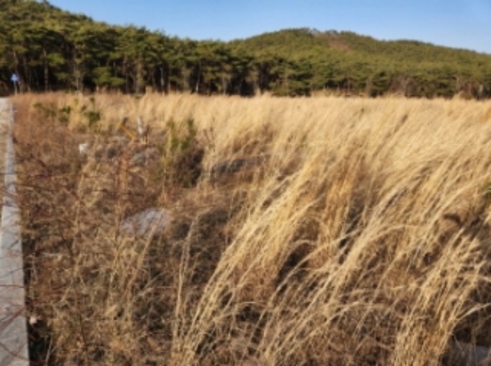 부동산표시 제3