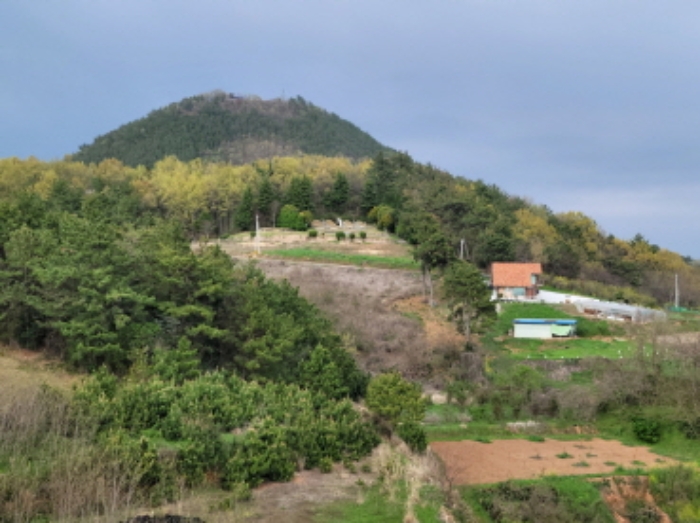 본건 주변 전경