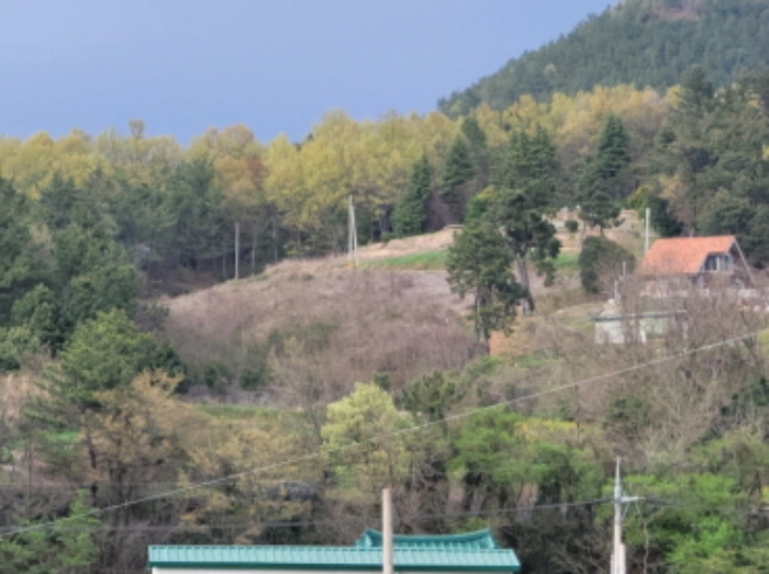 본건 주변 전경