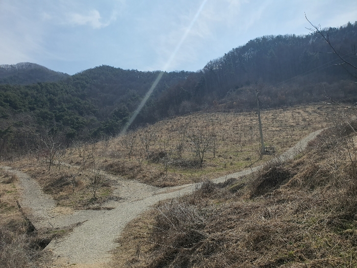 본건 기호1) 내부 전경 1