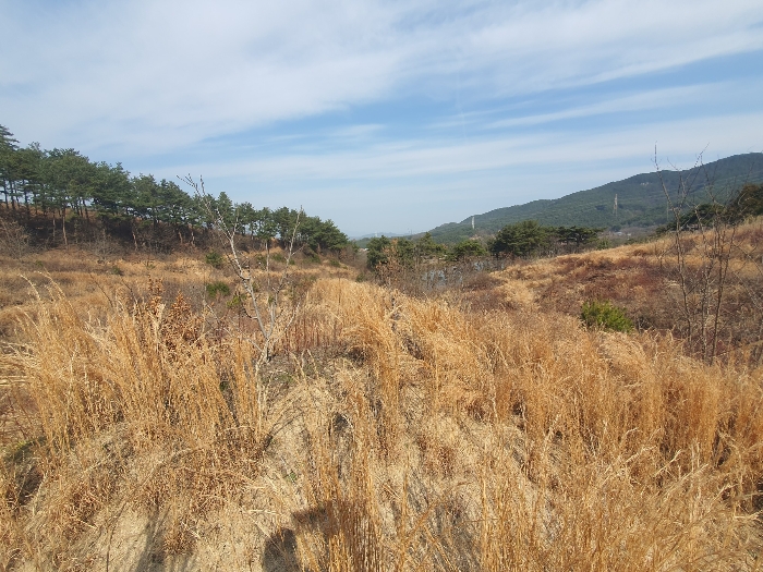 본건 기호2) 남측 내부전경