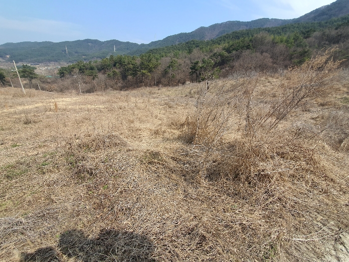 본건 기호1) 내부 전경 2