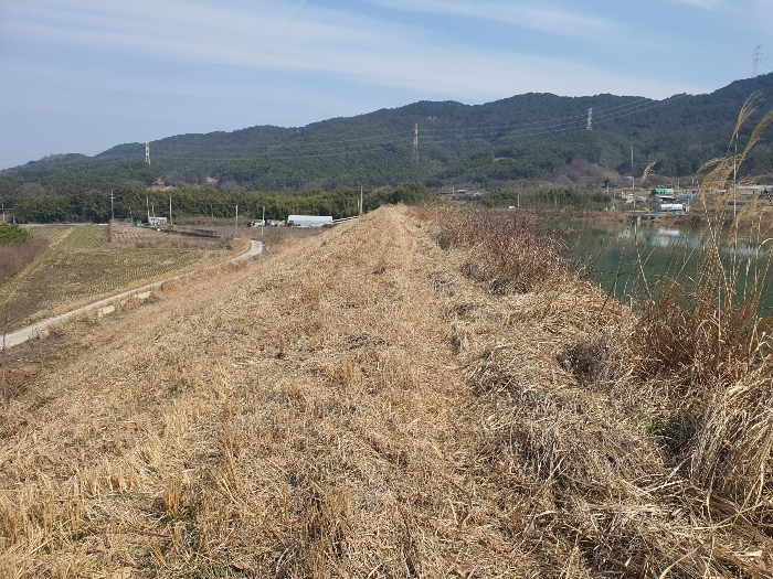 본건 기호2) 북서측 인접도로(제방)