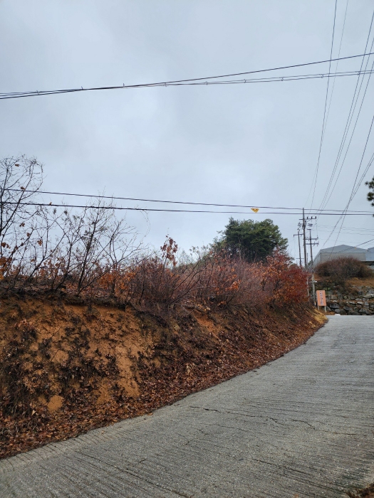 기호 (3) 토지 전경