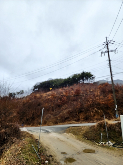 기호 (3) 토지 전경