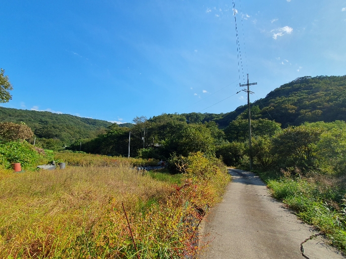 본건 전경 (북측 인근)