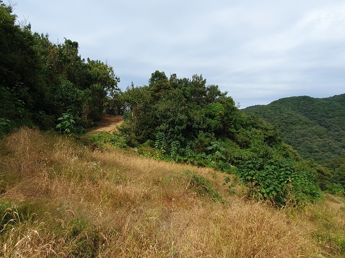 기호6 상단부 일부 (북동측 인근)