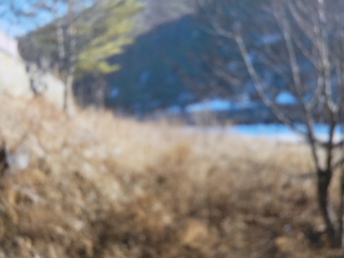 부동산의 표시 13