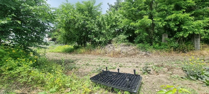 일련번호(1) 전경