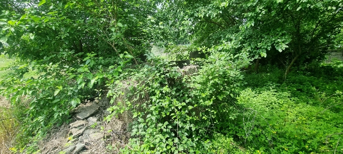 일련번호(1) 전경