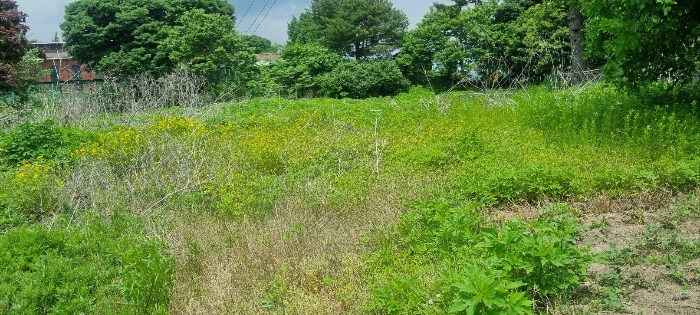 일련번호(2) 전경