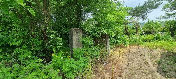 일련번호(1) 전경