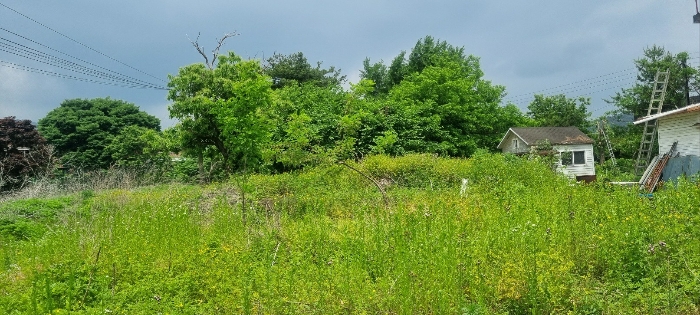 일련번호(2) 전경