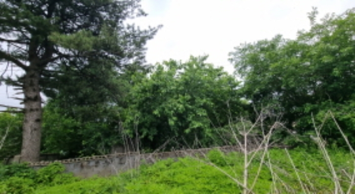 목록 1. 토지(담장이 설치된 곳)