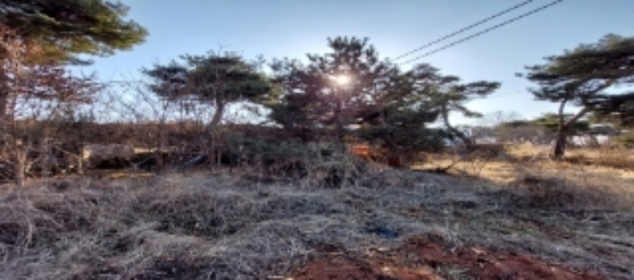 목록3,4,6,7 토지 일부 전경