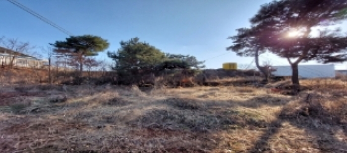 목록3,6,7 토지 일부 전경