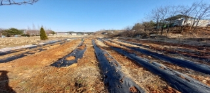 목록1 토지 전경