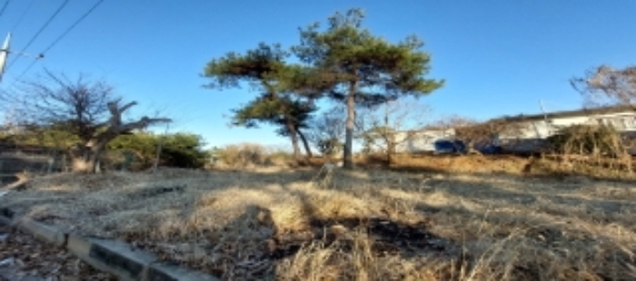 목록6,7 토지 일부 전경