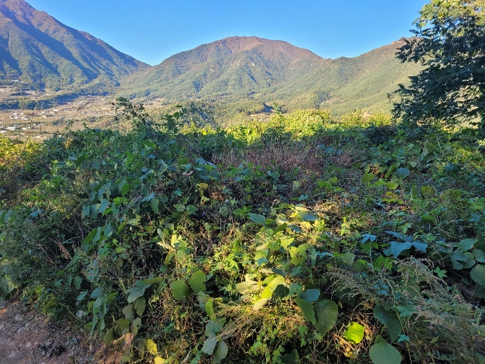 본건 기호 (1) 전경