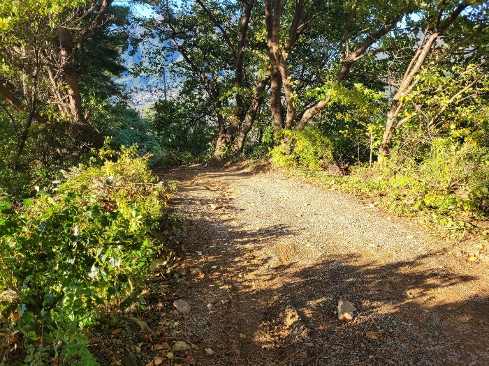 본건 기호 (3) 전경