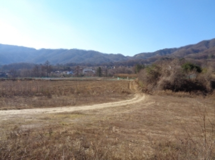 기호 5,6번 근거리에서 촬영한 것임