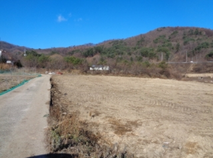 기호 6번 근거리에서 촬영한 것임