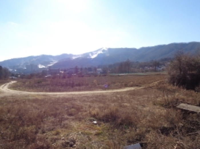 기호 4,5,6번 근거리에서 촬영한 것임