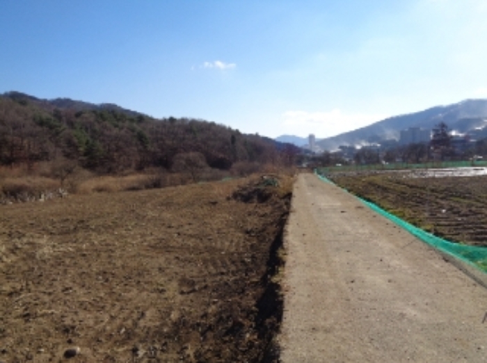 기호 4번 근거리에서 촬영한 것임