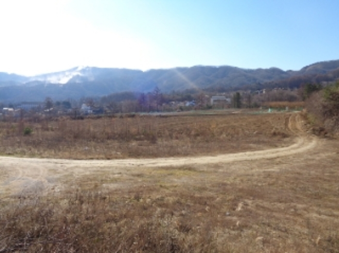 기호 5,6번 근거리에서 촬영한 것임