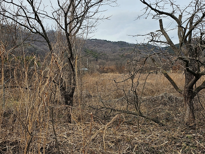 기호 (4) (남측에서 촬영)