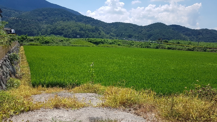 본건 전경