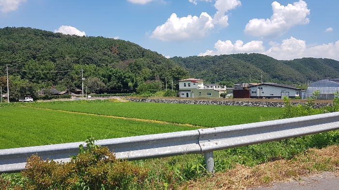 본건 전경 및 주위환경