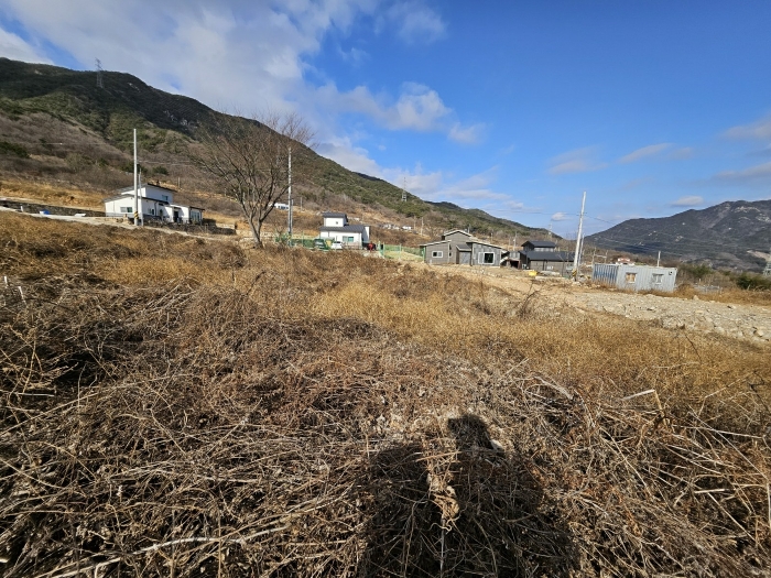 본건 기호(2) 토지의 전경