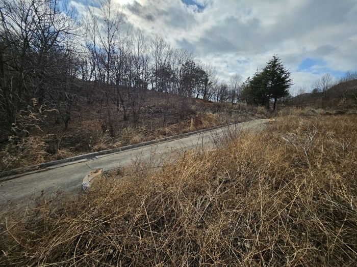 본건 기호(10)토지의 전경