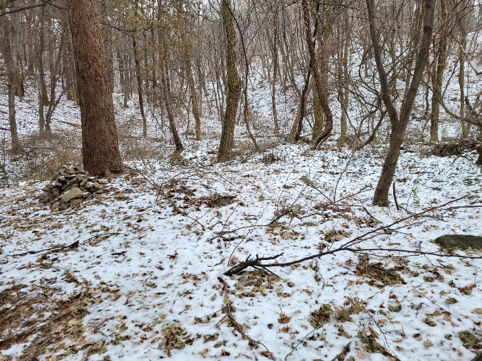 전면 근접사진