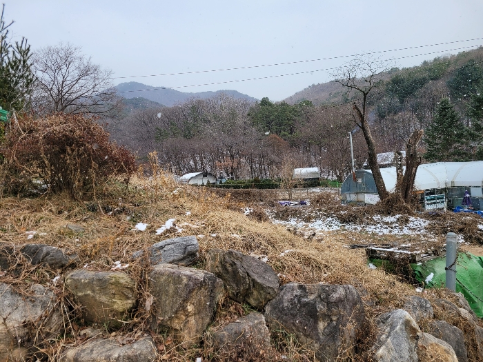 본건 인근 하단부 전경