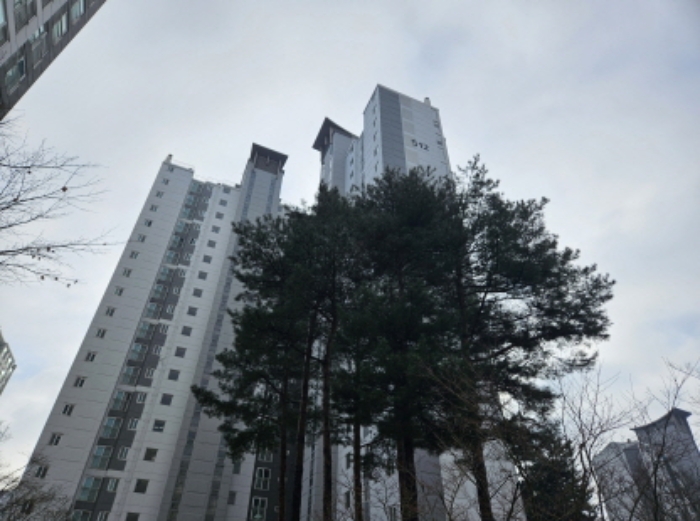 스타501 이미지