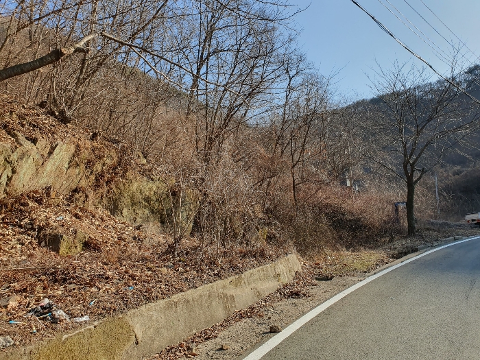 (1)토지 북서측 전경