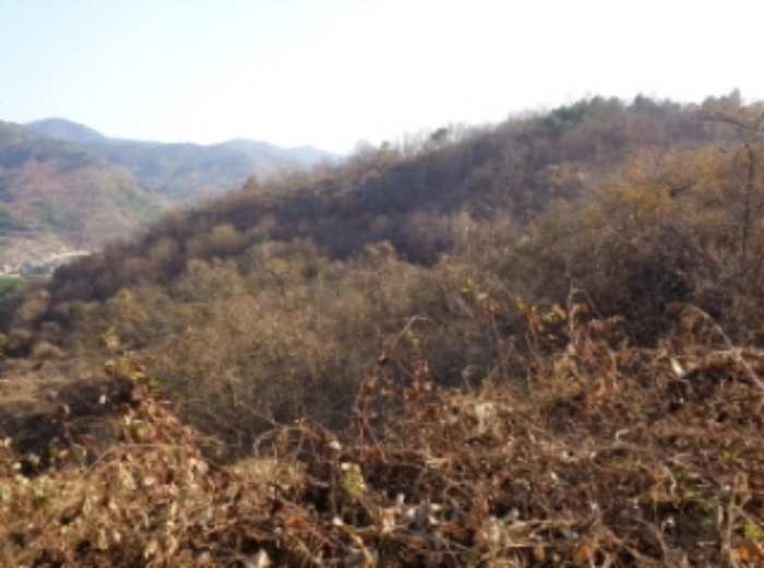 목록번호4 5