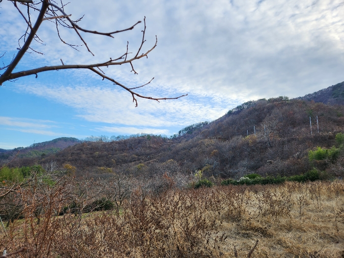 본건의 전경북동