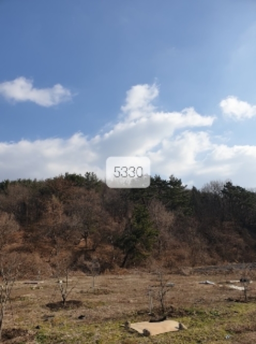 2번 부동산