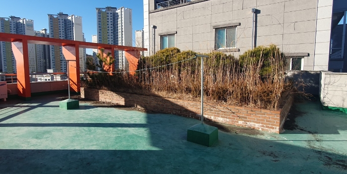 옥상 화단 전경