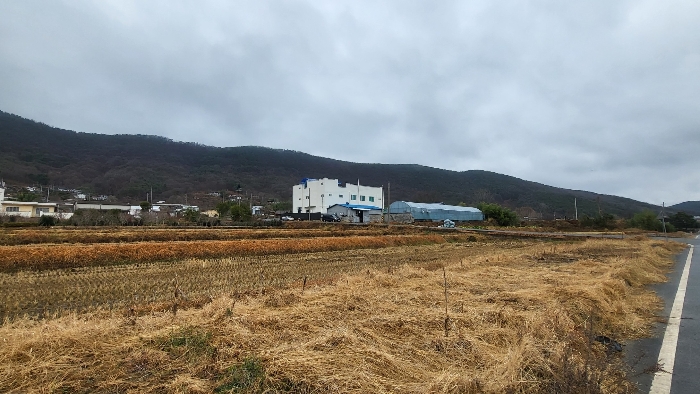 본건 및 주위환경